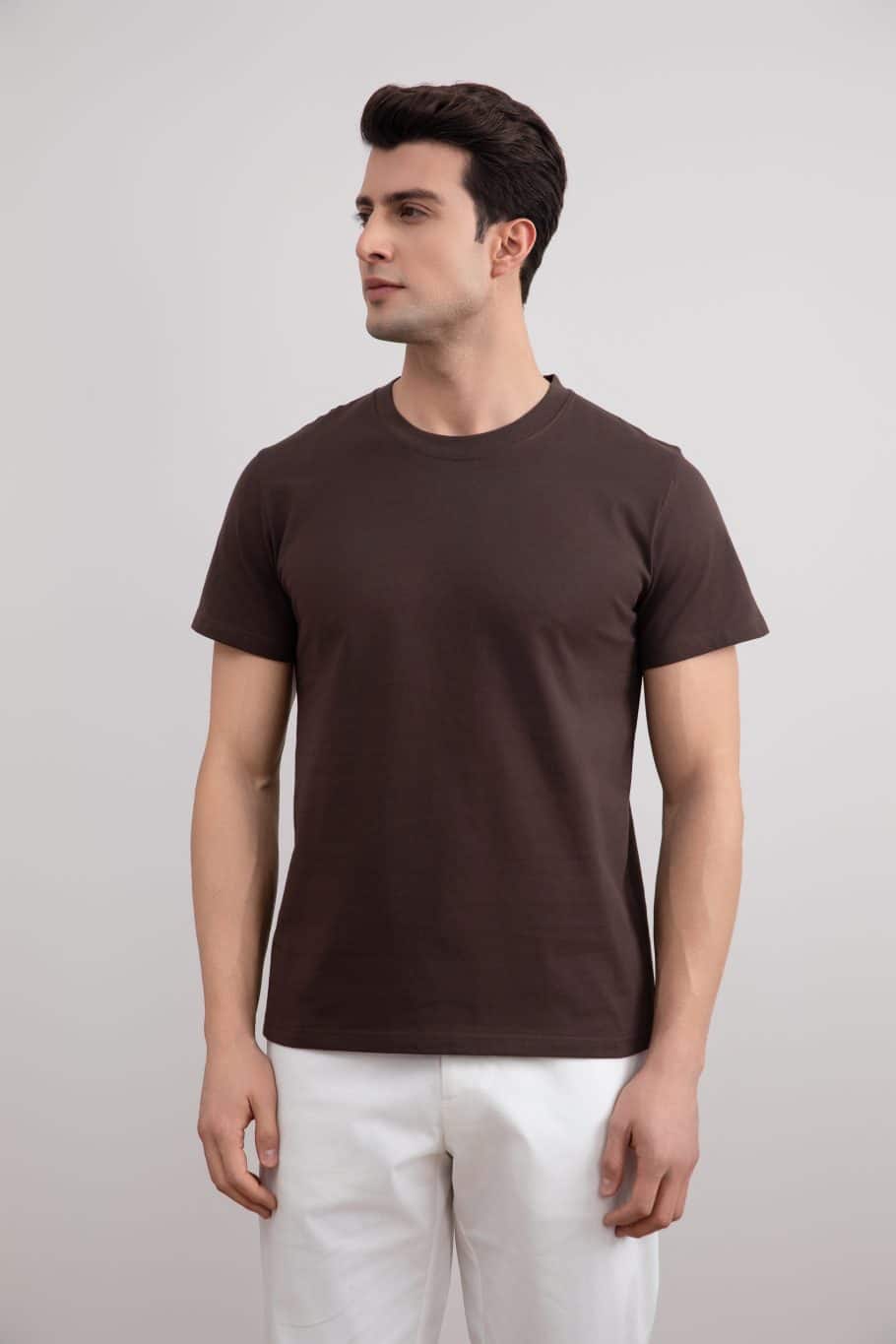 Brown Classic Slim Fit Tee