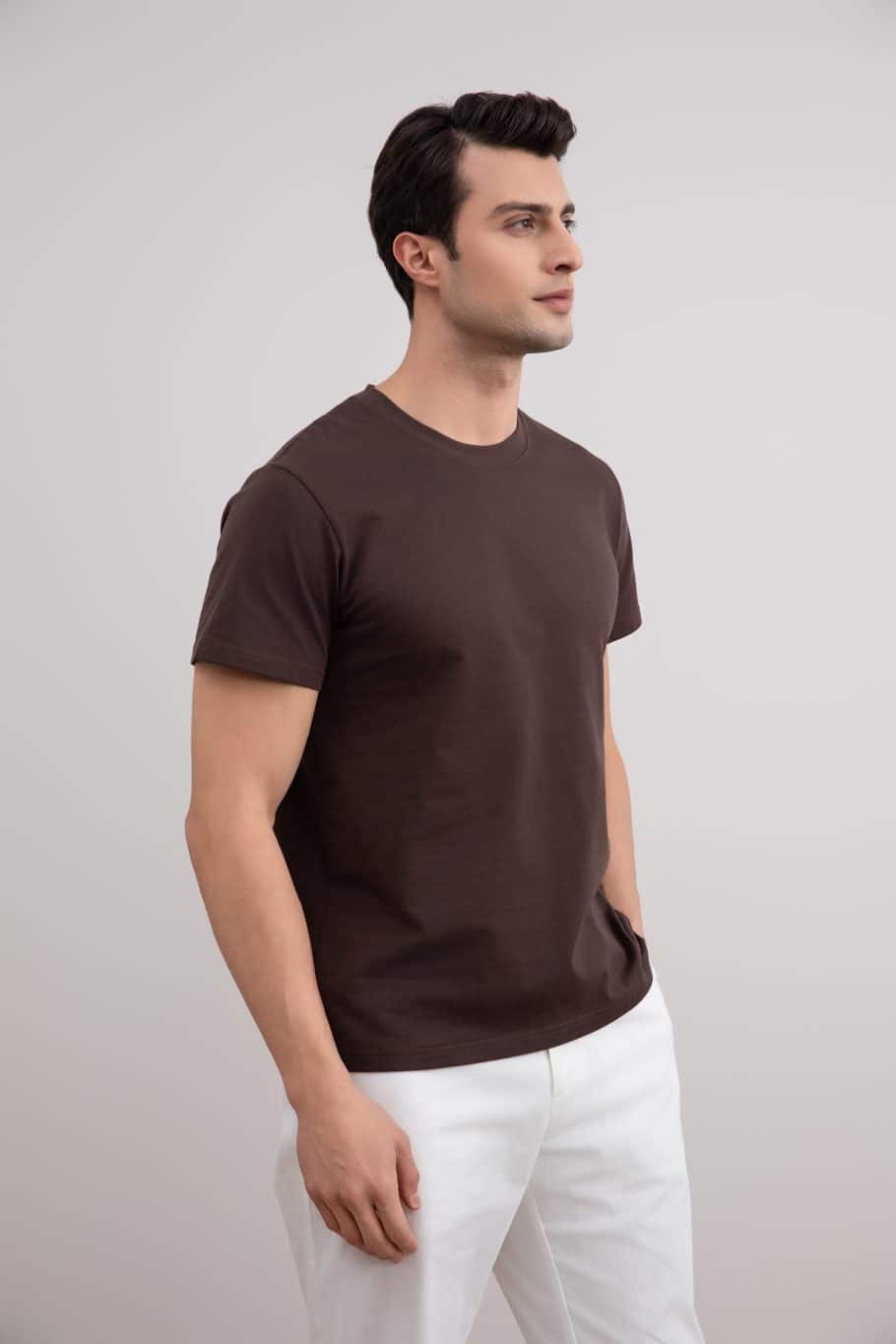 Brown Classic Slim Fit Tee