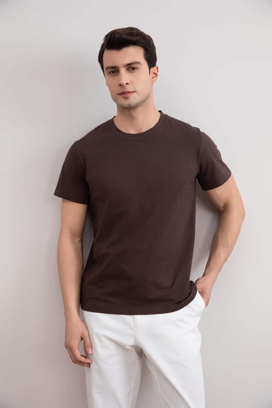 Brown Classic Slim Fit Tee