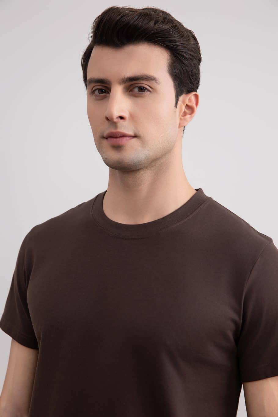 Brown Classic Slim Fit Tee